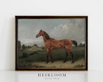 Equestrian Art | Vintage Horse Print | SHIPPED ART PRINTS | Bay Horse