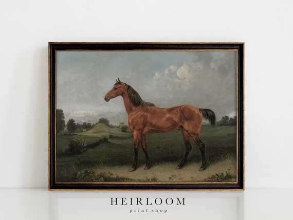 Equestrian Art | Vintage Horse Print | SHIPPED ART PRINTS | Bay Horse