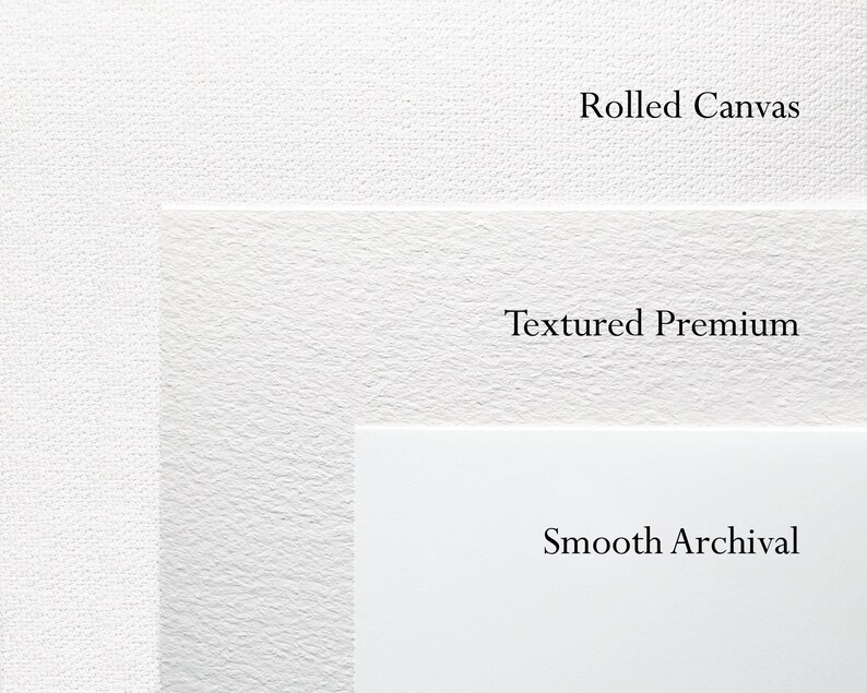 May include: Three white textured paper samples, labeled "Rolled Canvas", "Textured Premium", and "Smooth Archival".
