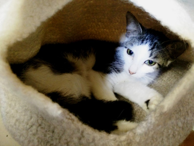 Felted Cat Cave Crochet PATTERN 2 Sizes, wool cat bed/cave image 5