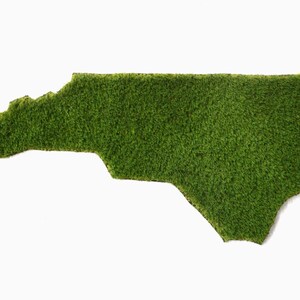 Capacho de grama sintética da Carolina do Norte | Tapete | Decoração de parede