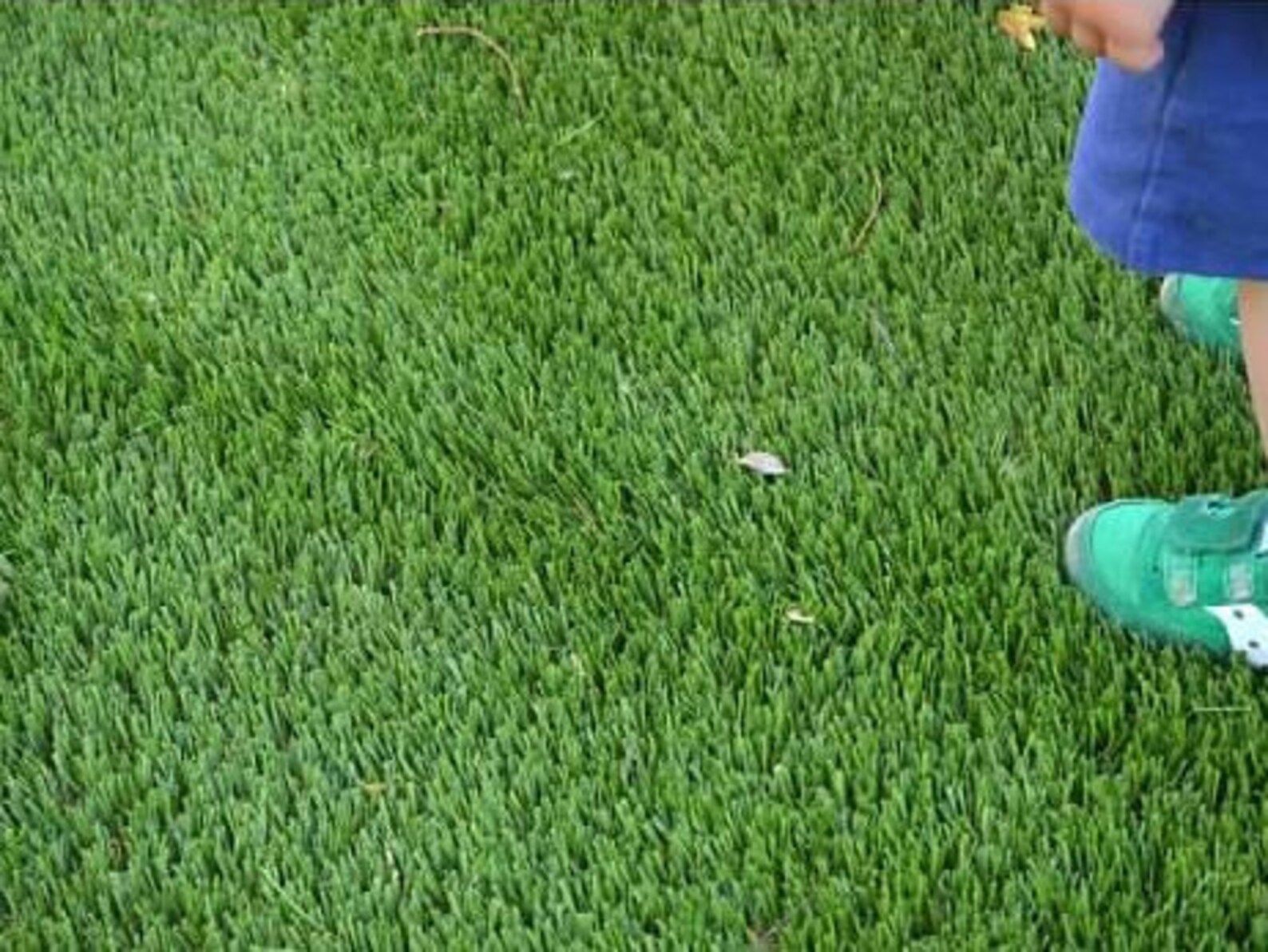 4' x 6' Synthetic Grass Rug Etsy