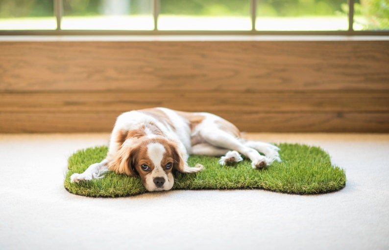 Dog Bone Synthetic Grass Doormat Rug Wall Art Decor Etsy