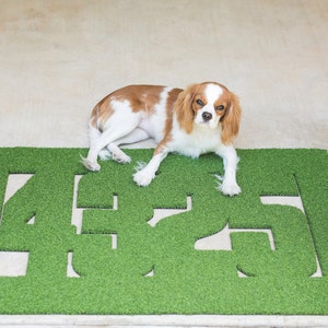 May include: A white and brown dog is lying on a green doormat with the numbers 425 cut out of the grass.