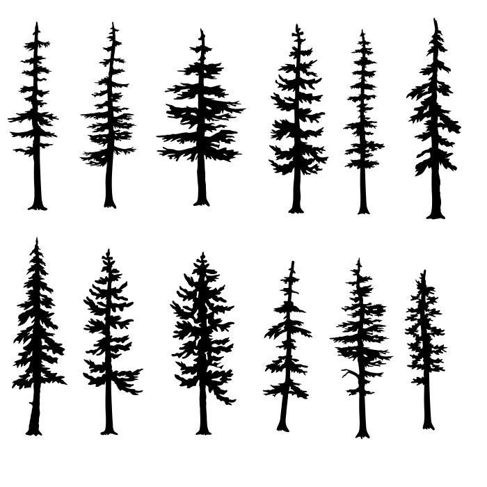 Trees Fir Evergreen Pine Clipart Silhouettes Eps Dxf Pdf Png Etsy