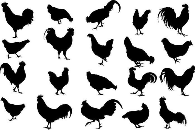 Download Huhn Hahn Clipart Silhouetten eps dxf pdf png svg ai ...