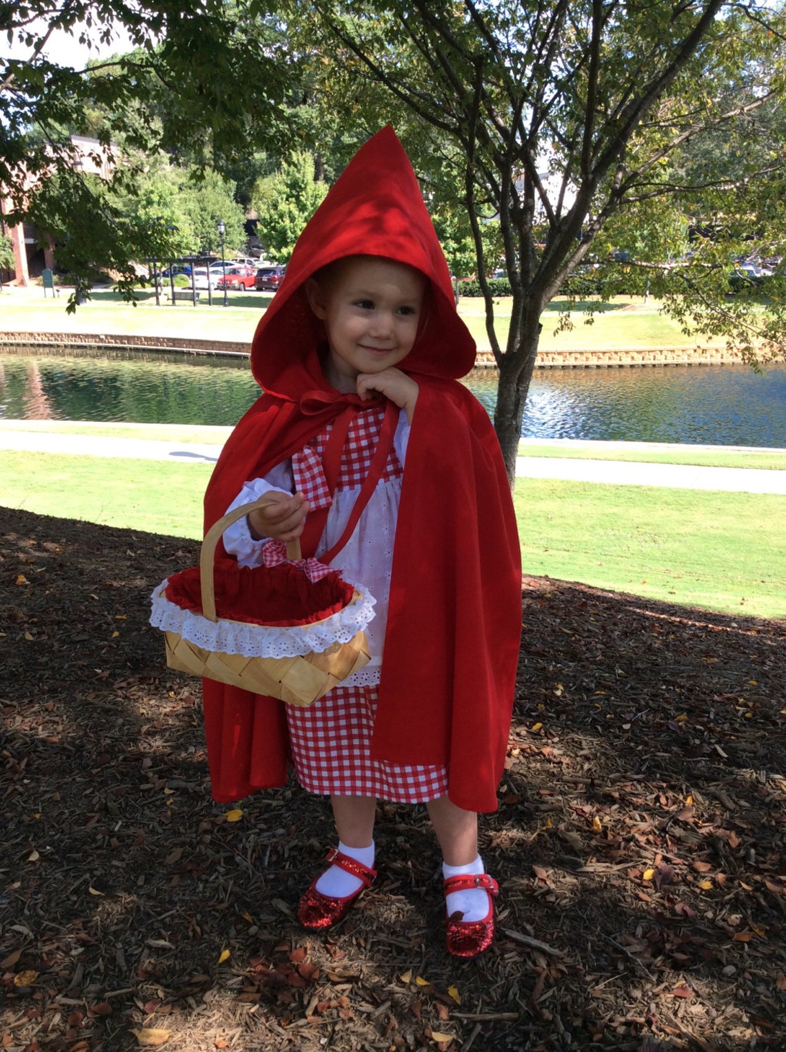 Little Red Riding Hood dress and hooded cape | Etsy
