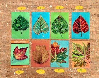 Autumn/Fall Leaf Art, Fall/Autumn Postcard Pen pal Sets postcards by Tomisha Lovely-Allen.