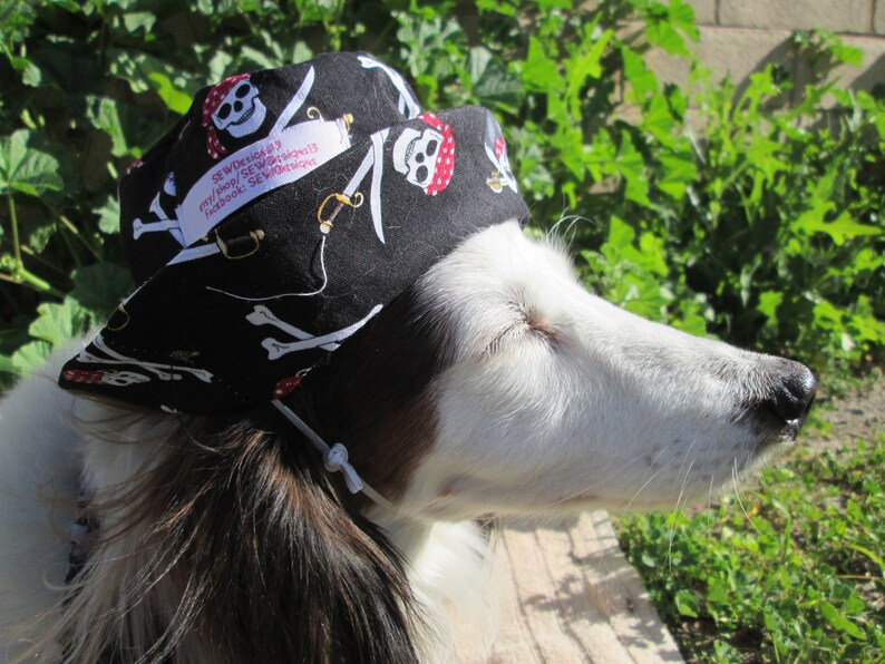 Dog Bucket Hat dog pirate hat Pirate hat Dog hat treasure Etsy