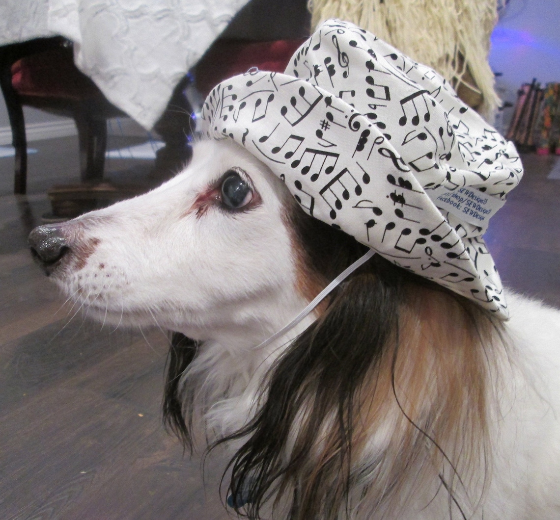 Dog Bucket Hat Musical Note Hat Mini Bucket Hat Hats for Etsy