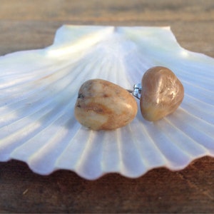 May include: A pair of brown and white stone earrings with silver posts, displayed on a white seashell.