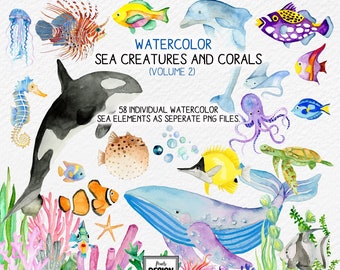 Watercolor Sea Elements (Creatures, Corals, Bubbles, Sea Grass): PNG clip art / commercial use / design art / children decor / sea clip art