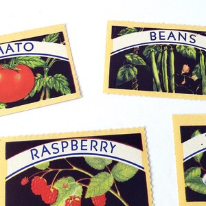 Vintage Canning Labels, Fruit and Vegetable Stickers image 2