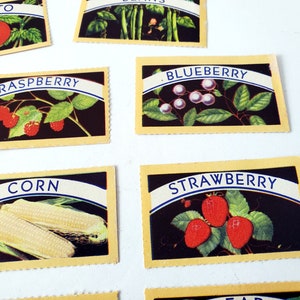 May include: Vintage illustrated cards with the names of different fruits and vegetables, including "Tomato", "Raspberry", "Blueberry", "Strawberry", and "Corn". The cards are yellow with a blue border and feature black backgrounds with colorful illustrations.