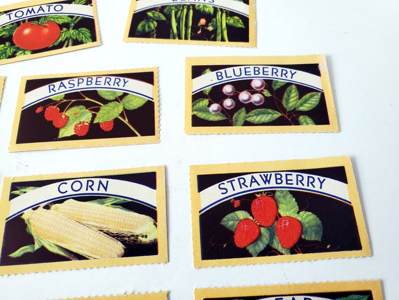 May include: Vintage illustrated cards with the names of different fruits and vegetables, including "Tomato", "Raspberry", "Blueberry", "Strawberry", and "Corn". The cards are yellow with a blue border and feature black backgrounds with colorful illustrations.