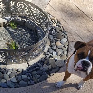 May include: A circular metal fire pit ring featuring intricate laser-cut scrollwork patterns, positioned on a patio surrounded by smooth gray river stones, with a brown and white Boxer dog standing in the foreground on the right side.