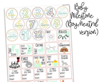 Baby Milestones Stickers, for use with Calendar, Scrapbooking, or Erin Condren Life Planner, Happy Planner Stickers