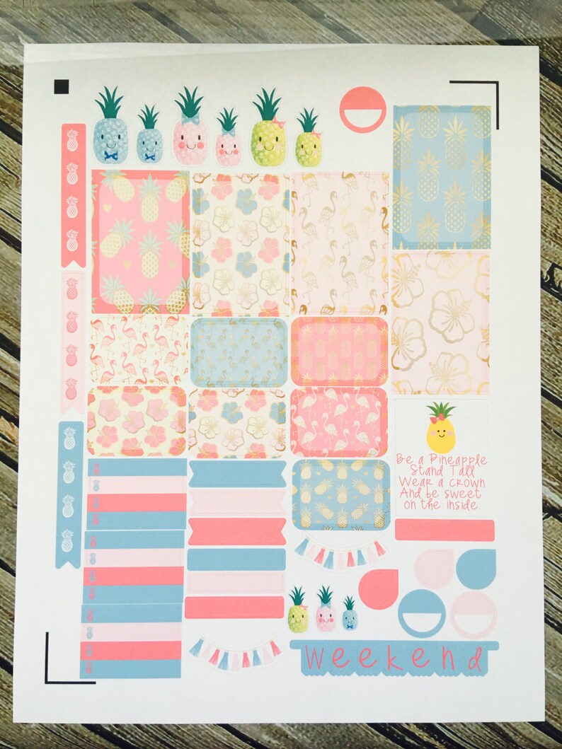 Pineapple Summer Weekly Planner Stickers Set For Use With Erin 