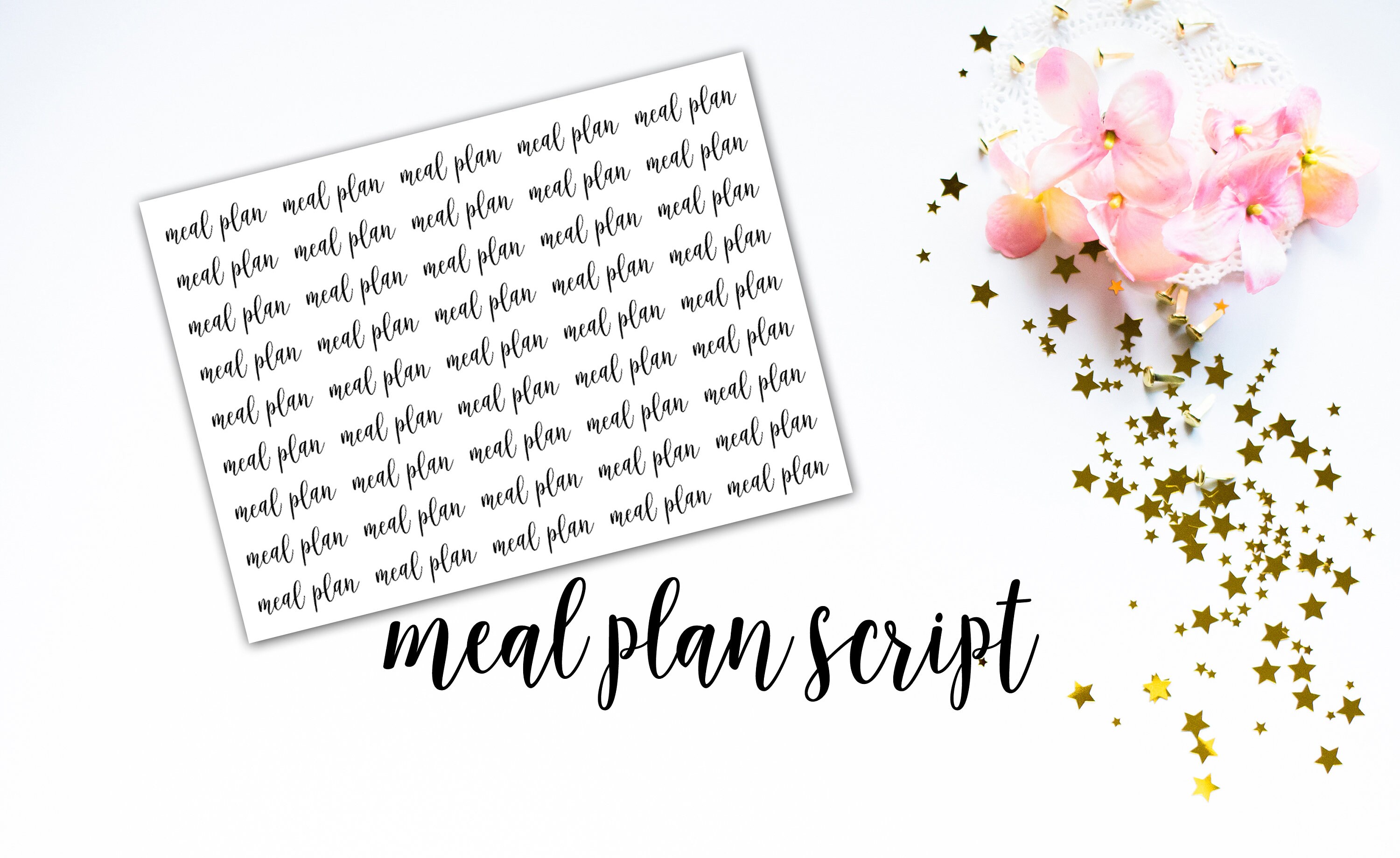 Meal Plan Functional Planner Script Stickers - for Use With Erin ...