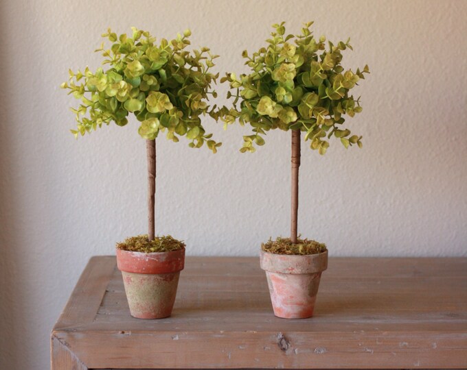 Artificial Boxwood Topiary in Aged Terracotta Pots Etsy