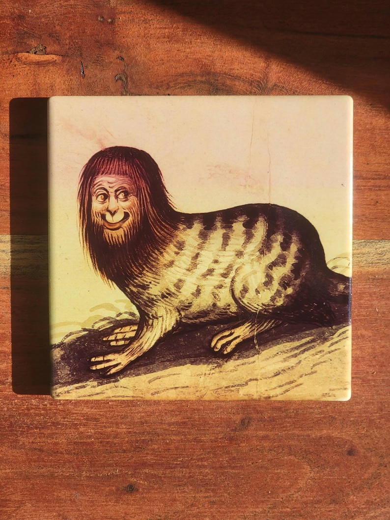 Puede incluir: Azulejo cer&aacute;mico cuadrado con una ilustraci&oacute;n vintage de una criatura m&iacute;tica, mitad humana, mitad foca. La criatura tiene pelo largo y una cara sonriente. El azulejo tiene un fondo crema y est&aacute; sobre una superficie de madera.