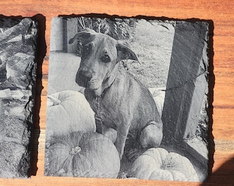 Individueller Foto Schiefer Untersetzer: Personalisiertes Haustier & Familie Geschenk