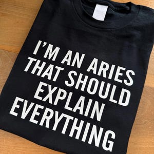 Aries Shirt, I'm An Aries That Should Explain Everything T-shirt, Astrology Gift, Zodiac Tee Shirt, Funny Aries Gift For Him Or Her image 2