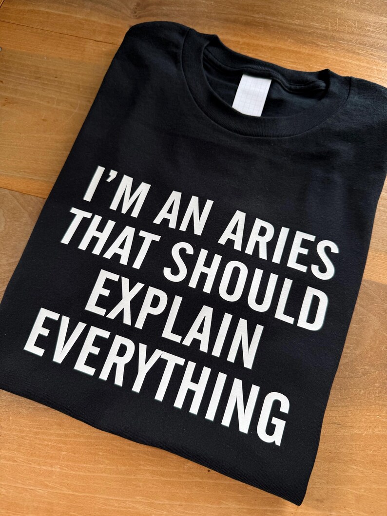 Aries Shirt, I'm An Aries That Should Explain Everything T-shirt, Astrology Gift, Zodiac Tee Shirt, Funny Aries Gift For Him Or Her image 2