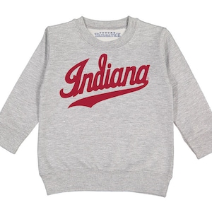 May include: A light gray sweatshirt with long sleeves. The word "Indiana" is printed in red script across the front. The sweatshirt has a crew neck and a ribbed hem and cuffs. The brand name "FUTURE TAILSAVER" is printed on the inside of the collar.