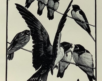 1937 Original Vintage Tunnicliffe Woodcut Swallows Bird Print - Mounted & Matted Black - 10 x 8 Inches