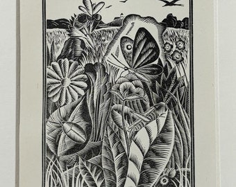 1928 Original Vintage Eric Fitch Daglish Animal Woodcut - Wild