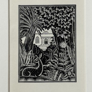 1925 Original Vintage Alan Bold Holzschnitt Illustration Druck - Hirsch - Montiert & Mit Passepartout - 26 x 21 cm