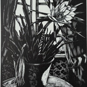 John Nash (1893-1977) Woodcut Print - Phyllocactus, 1926 - Available Mounted And Matted - 10 x 8 Inches