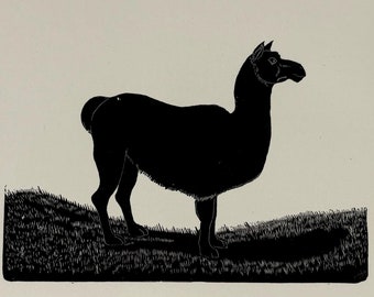 1928 Original Vintage Eric Fitch Daglish Animal Woodcut - Wild