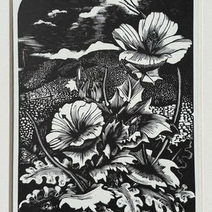 John Nash (1893-1977) Woodcut Print - Sea Poppy, 1927 - Available Mounted And Matted - 10 x 8 Inches