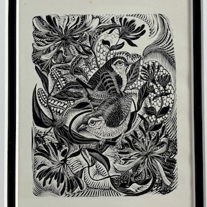 1951 Original Vintage Wood Engraving Print, Wrens In Honeysuckle, Lennox Paterson - Mounted And Matted In A Choice Of Colours - 10 x 8"