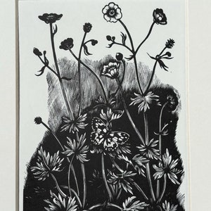 John Nash (1893-1977) Woodcut Print - Buttercup, 1927 - Available Mounted And Matted - 10 x 8 Inches