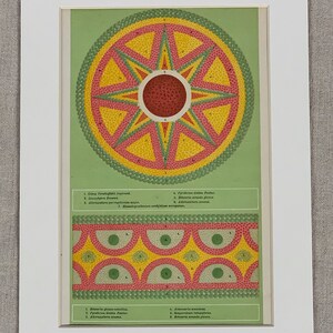 1890 Original Antique Botanical Carpet Bedding Lithograph Print, Mounted And Matted In A Choice Of Colours - 12 x 8&quot;