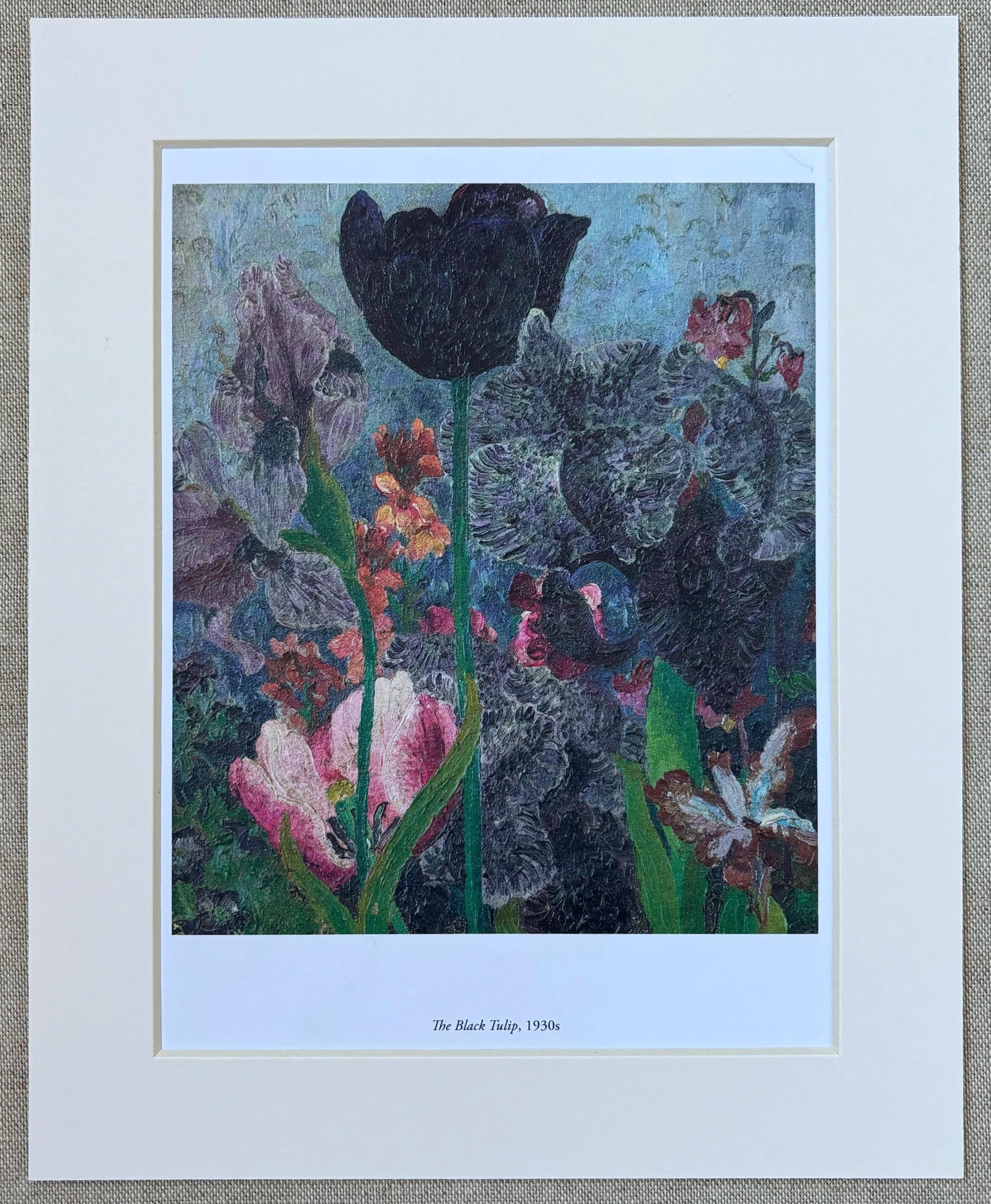 mohu260609　原画　額付き セドリック・モリス（1889-1982）の絵画版画「黒いチューリップ
