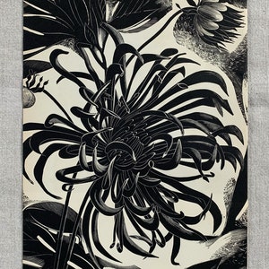 Stampa originale incisa su legno d&#39;epoca del 1951 - Fiore, di John Farleigh - 9,75 x 7 pollici