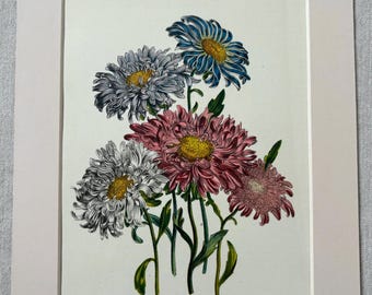 ビンテージ植物図鑑リトグラフ 1948年オリジナルヴィンテージ植物花リトグラフプリント