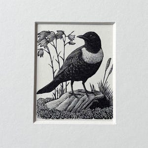 May include: Black and white bird art print. The illustration depicts a bird with a white chest, perched on a log with grass and foliage. The artwork is framed in a white mat and a gray frame.