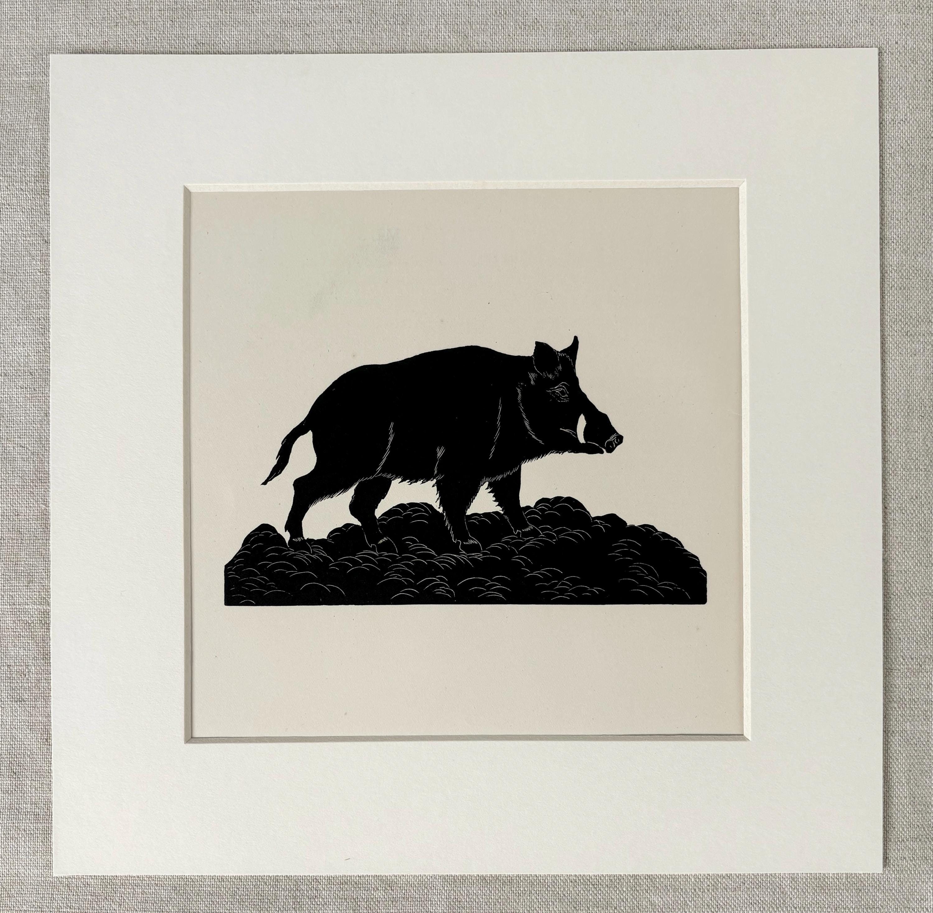 1928 Original Vintage Eric Fitch Daglish Animal Woodcut - Wild