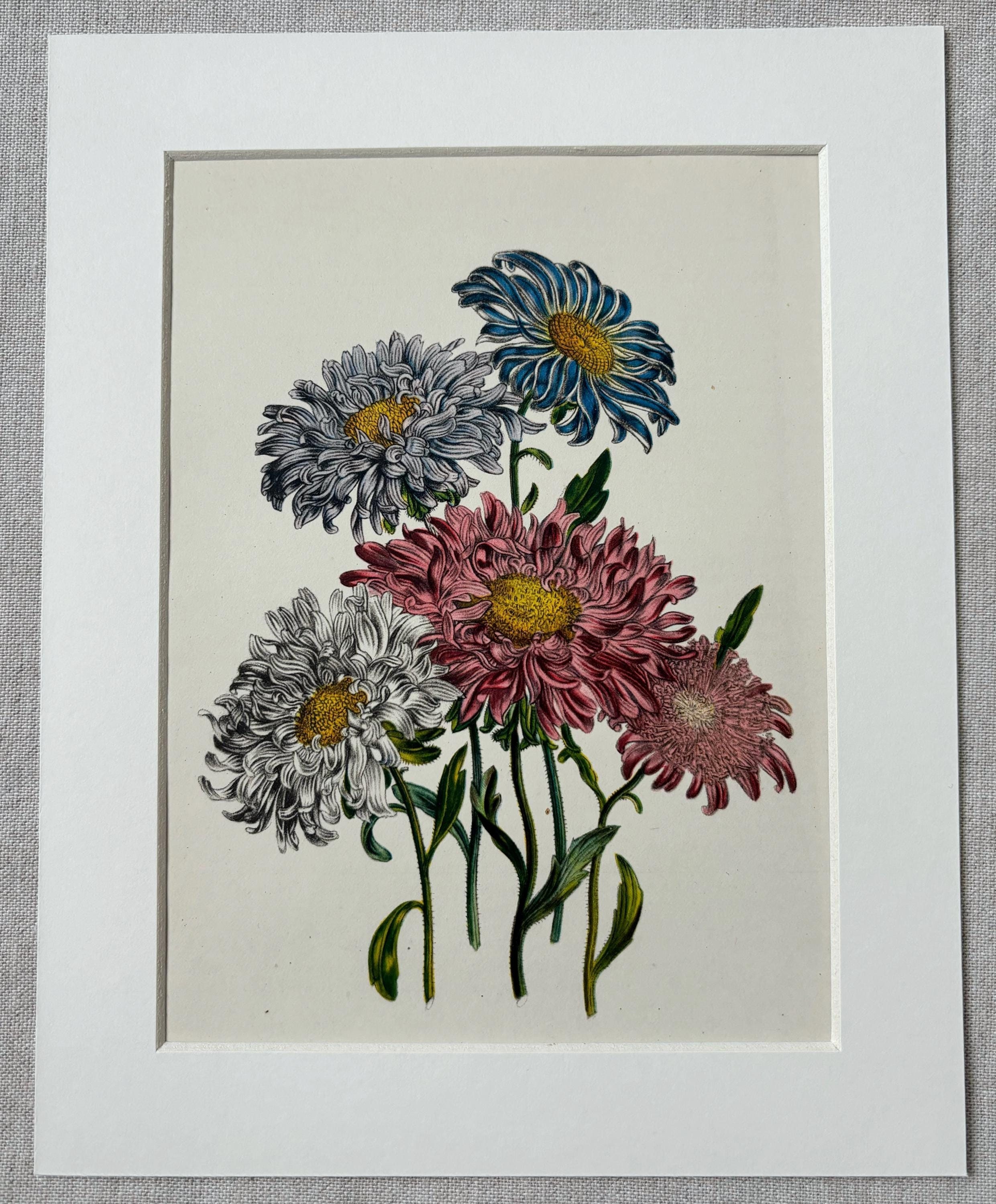 リトグラフ　絵画　アンティーク　ヴィンテージ アンティークリトグラフ my good fellow イギリス 馬 ユーモア