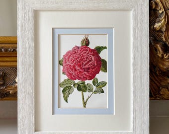 Impresión vintage de flores silvestres británicas enmarcadas (rosa) - 30,5 x 26,8 cm - Marco de madera flotante lavado en blanco roto