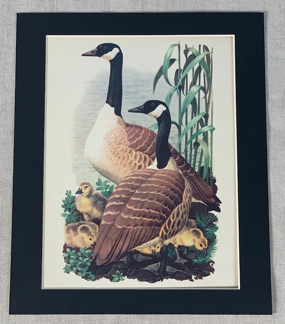 Canada goose clearance 10 off uk
