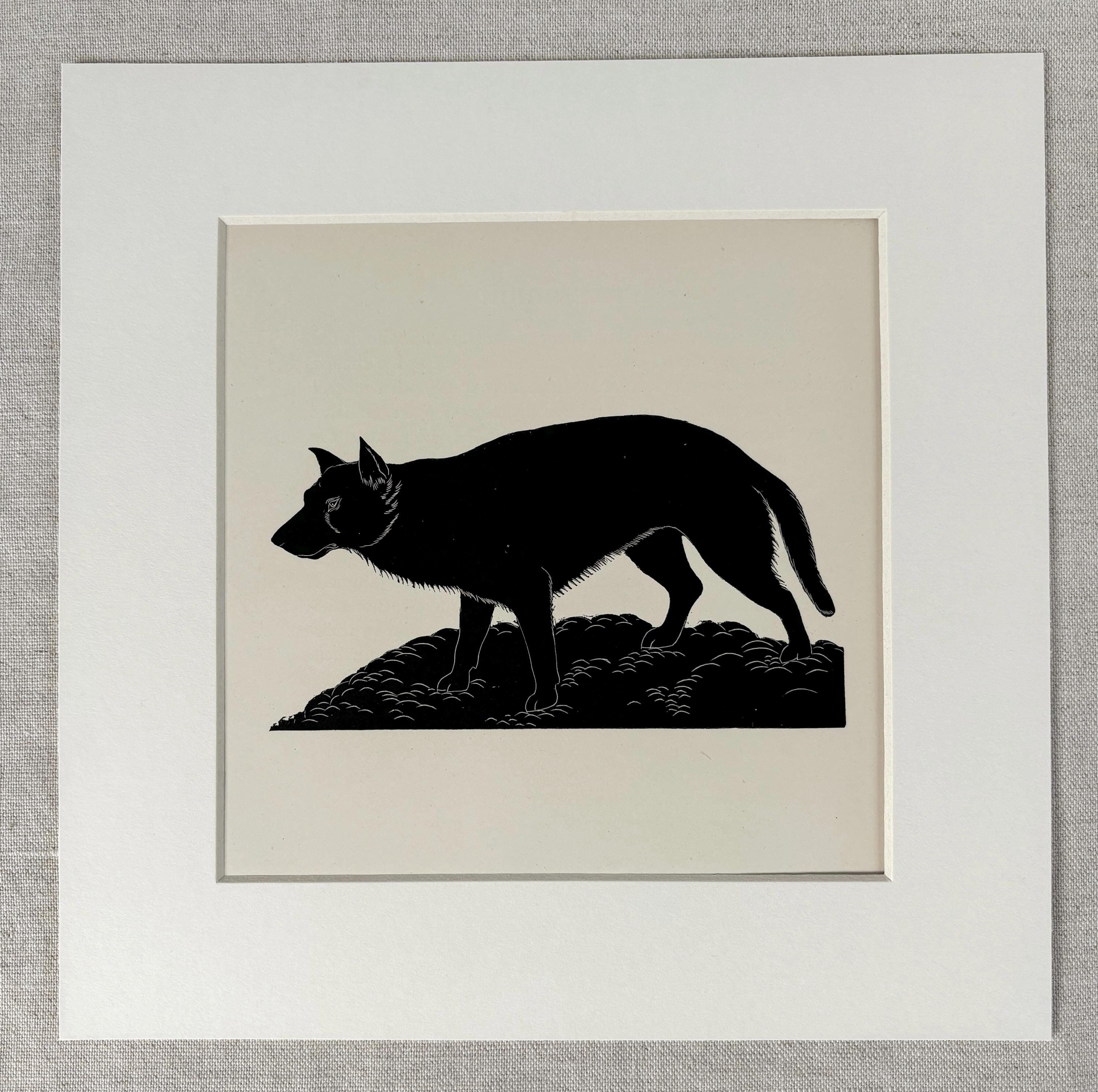 1928 Original Vintage Eric Fitch Daglish Animal Woodcut - Wolf