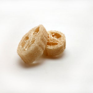 Natural Luffa Slice (Loofah)