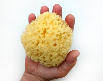 All Natural Sea Sponge (4-5inch)