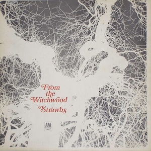 Strawbs From The Witchwood Vinyl Record LP Album UK Pressing Prog Rock Folk Rock Vintage Vinyl